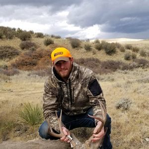 Meet your Posher, Ronnie